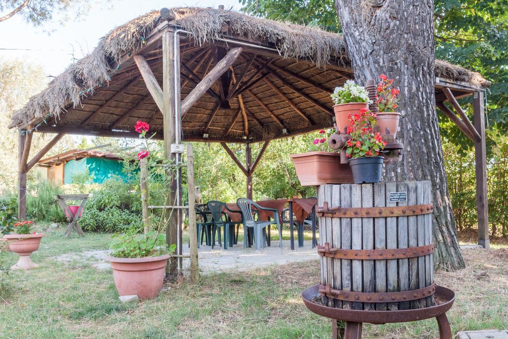 Agriturismo Artisti Del Cavallo Arezzo Exteriör bild